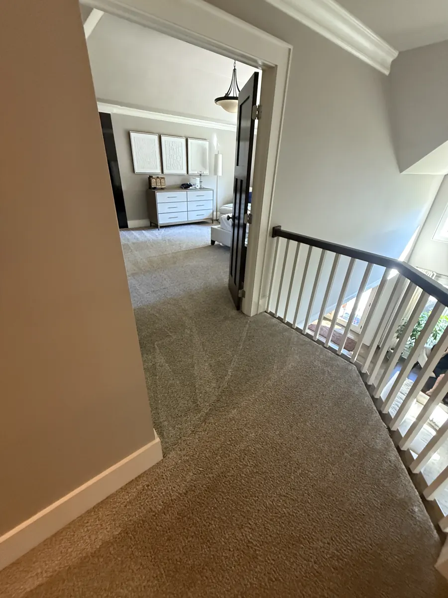 Upstairs landing with textured cut-pile carpet after CRB carpet cleaning and hot water extraction, grooming marks visible