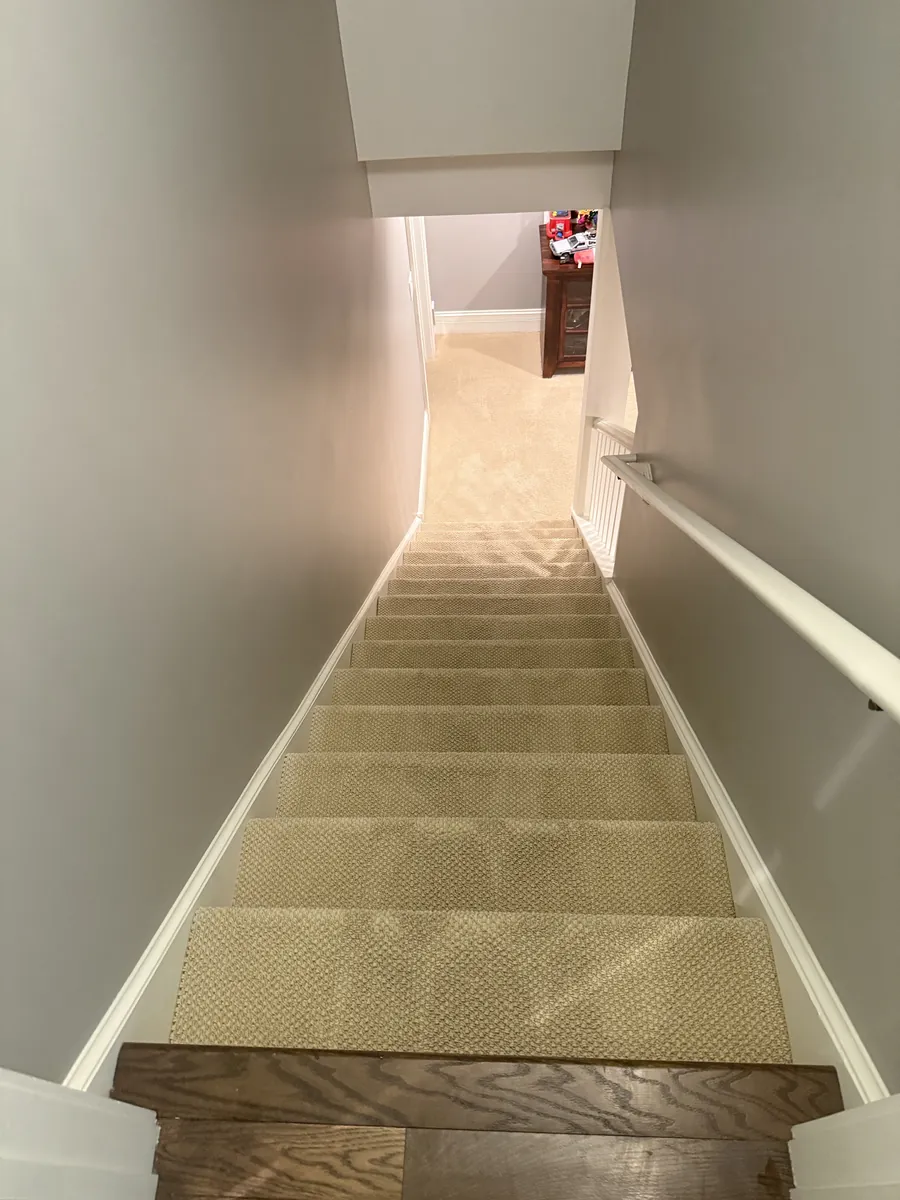 Carpeted basement stairs in a Glenview home after professional stair cleaning, viewed from the top step