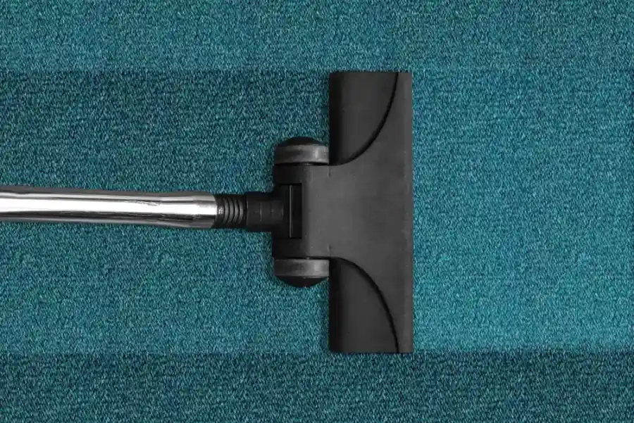 Professional carpet stain removal in progress