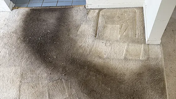 dirty traffic line on carpet