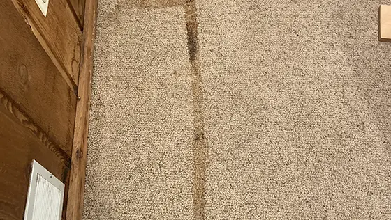 stains on the carpet before cleaning