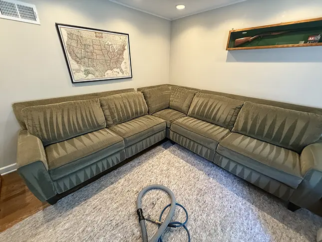 clean couch showing signs of professional cleaning