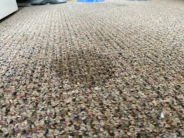carpet stain
