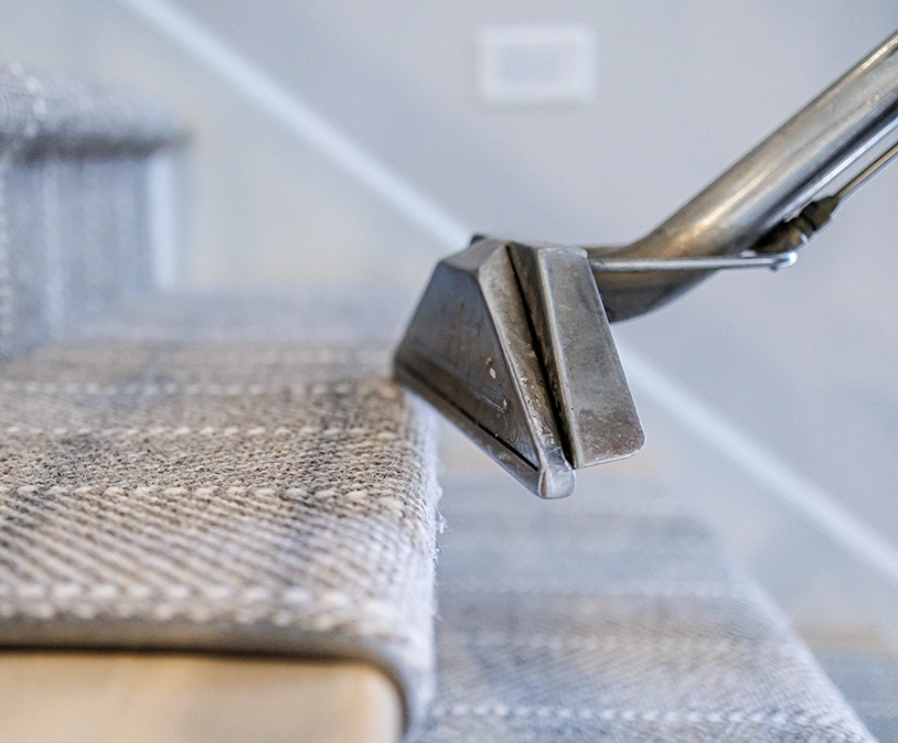 picture shows carpet being cleaned