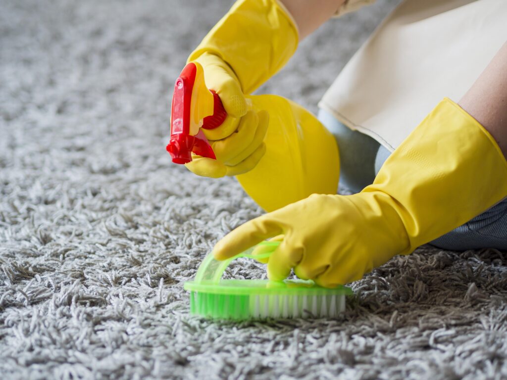 carpet cleaning diy way