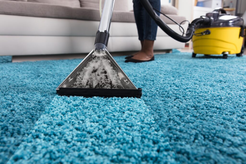 Blue rug cleaning