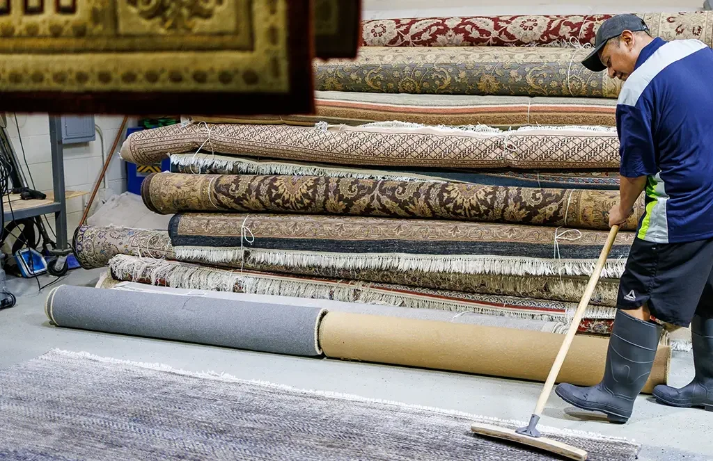 technician carpet cleaning in chicago