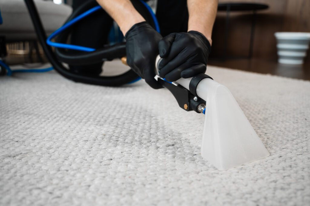 carpet cleaning in chicago