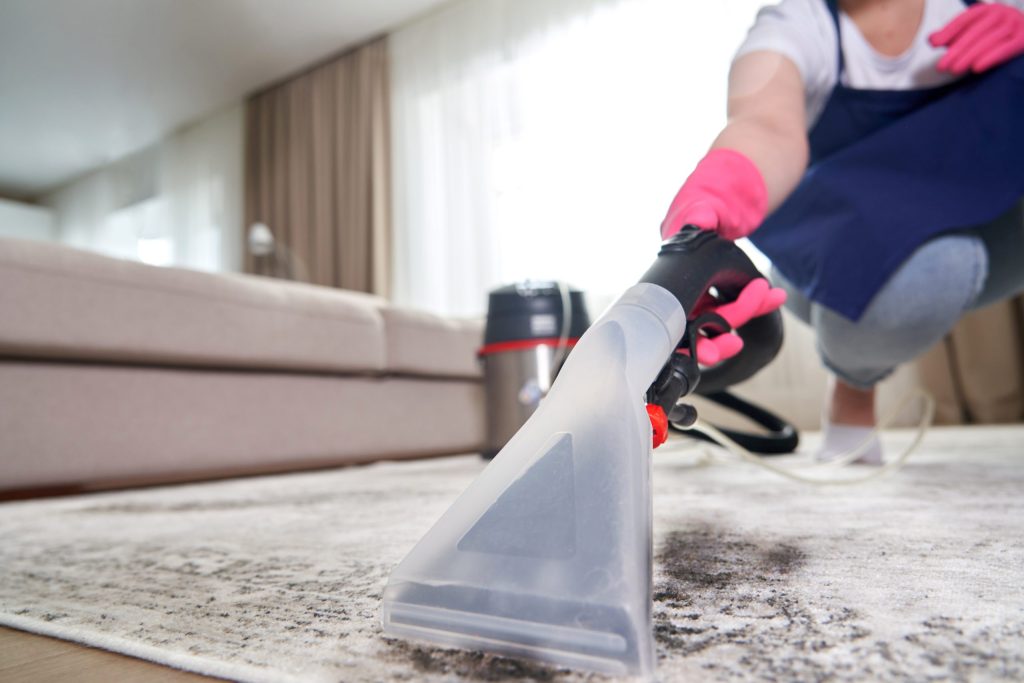 rug cleaning company cleaning a carpet