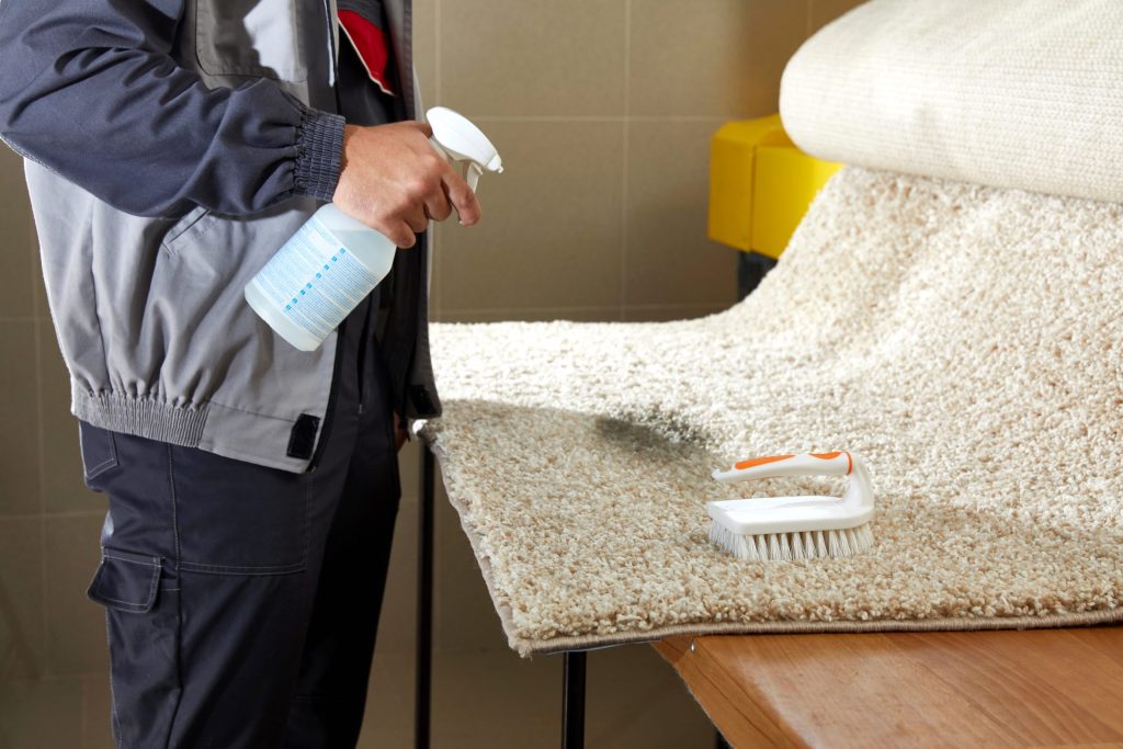 professional rug cleaning